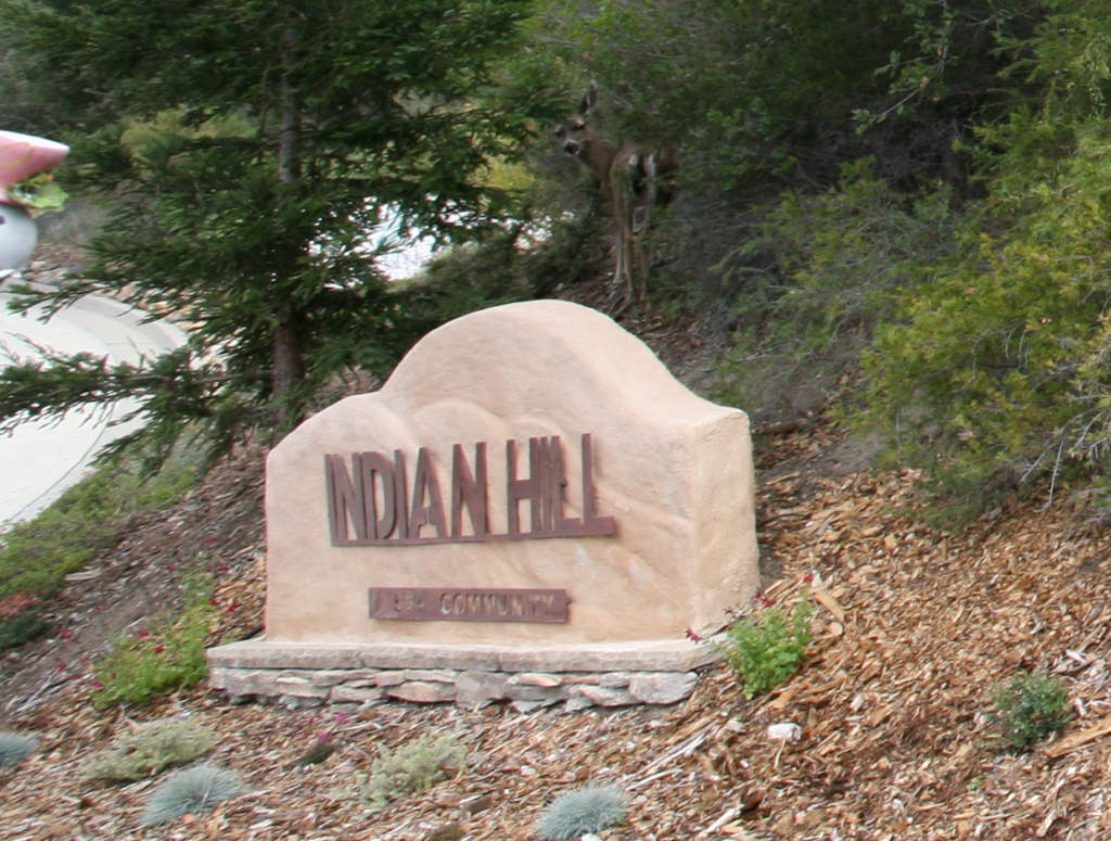 Indian Hills a 55 Pluss Community. Did you spot the deer? Indian Hill