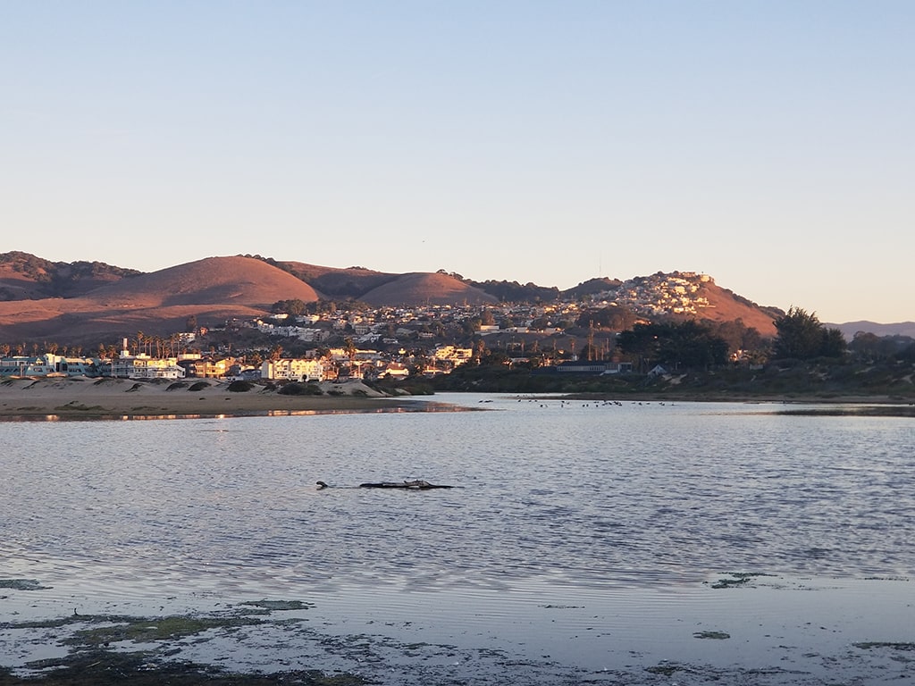 Pismo Beach, Ca 
10/24/2019  AM
View From  the Sands of Pismo Beach , looking over the Creek, looking upto Pismo Heights, Photo by James Outland Real Estate Agent 8057482262 DRE#01314390